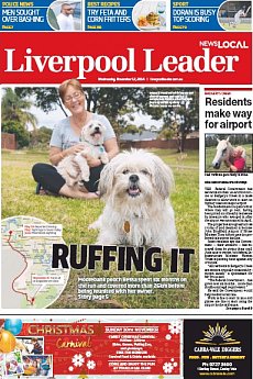 Liverpool Leader - November 12th 2014